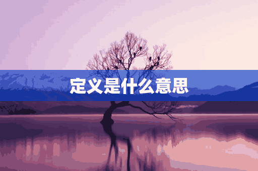 定义是什么意思